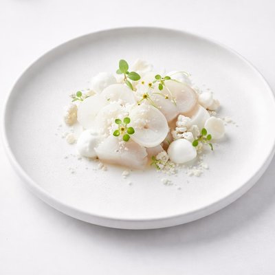 Image of White White White