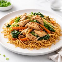 Chinese Take Out Chicken Chow Mein with Crispy Noodles