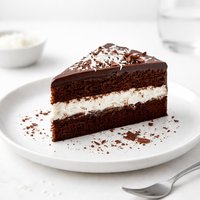Chocolate Coconut Cream Cake
