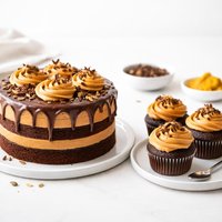 Chocolate Pumpkin Cake and Cupcakes