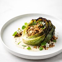 Chou Glorieux Glorious Cabbage