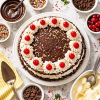 Copycat Dq Ice Cream Cake