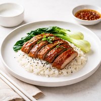 Crispy Roast Duck Rice