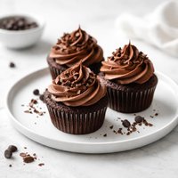 Double Chocolate Cocoa Cupcakes