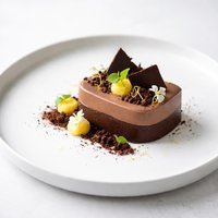 Double Chocolate Mousse with a Touch of Lemon