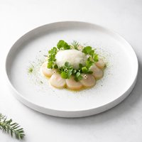 Douglas Fir Sparkletini