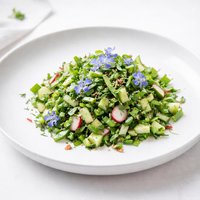 German Bavarian Chopped Green Salad Mit Borretsch