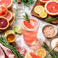 Greyhound in the Pink