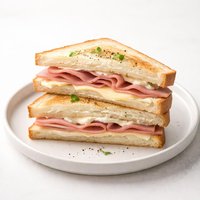 Ham Cheese and Mayo Sandwich