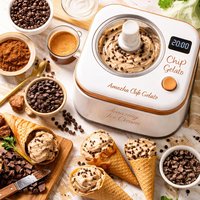 Mocha Chip Gelato Amazing Ice Cream Machine