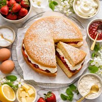 My Never Fail Sponge