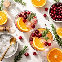 Orange Cranberry Gin and Tonic