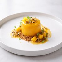 Passionate Mango Freezer