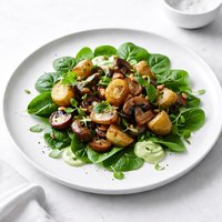 Salad of Roasted Potatoes and Mushrooms on Spinach W Basil Aioli