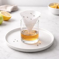 Simple Fruit Fly Trap