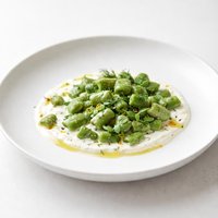 Spring Broad Beans in Yoghurt
