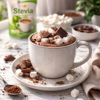 Stevia Hot Chocolate