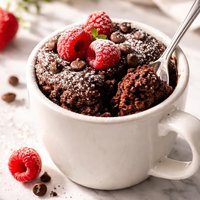 Sugar Free Egg Free and Fat Free Chocolate Mug Cake