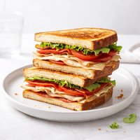 Toasted Salami and Turkey Sandwiches