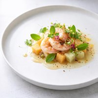 Touch of Mint Iced Tea