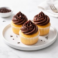 Yellow Cupcakes with Chocolate Frosting